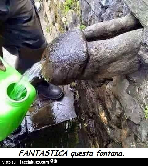 miglior uomo del pene il mio pene è stato morso via