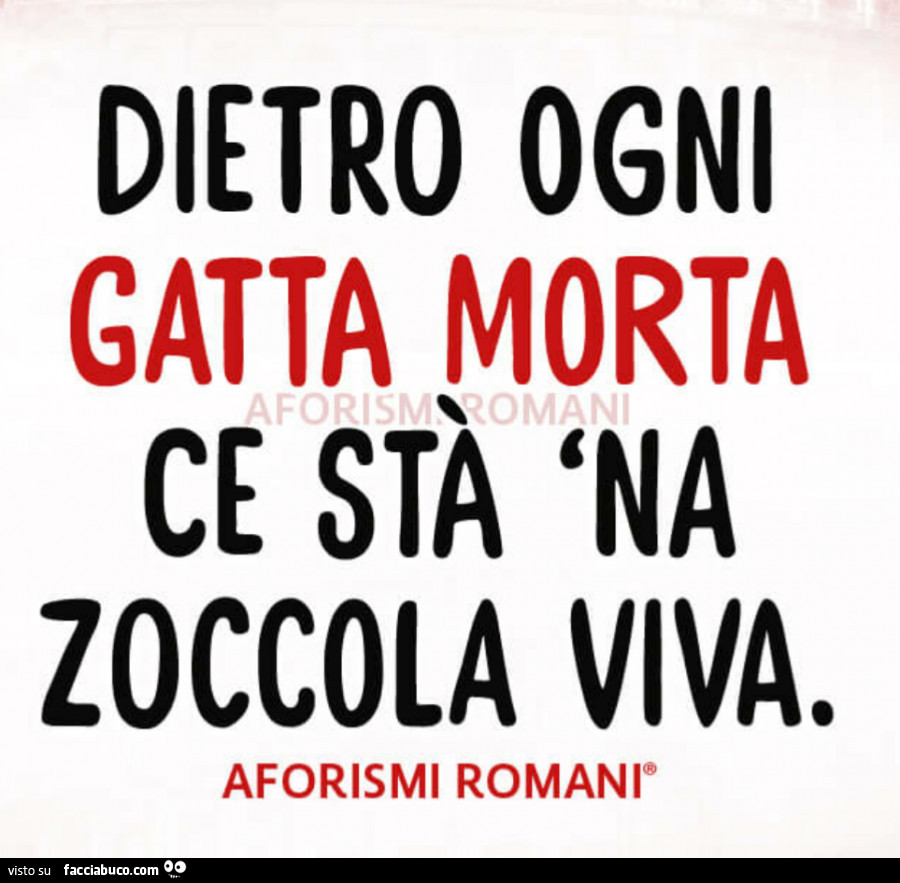 Dietro ogni gatta morta zoccola viva. Aforismi romani - Facciabuco.com