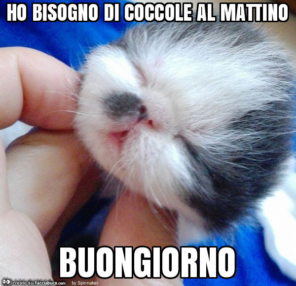 Ho bisogno di coccole al mattino buongiorno