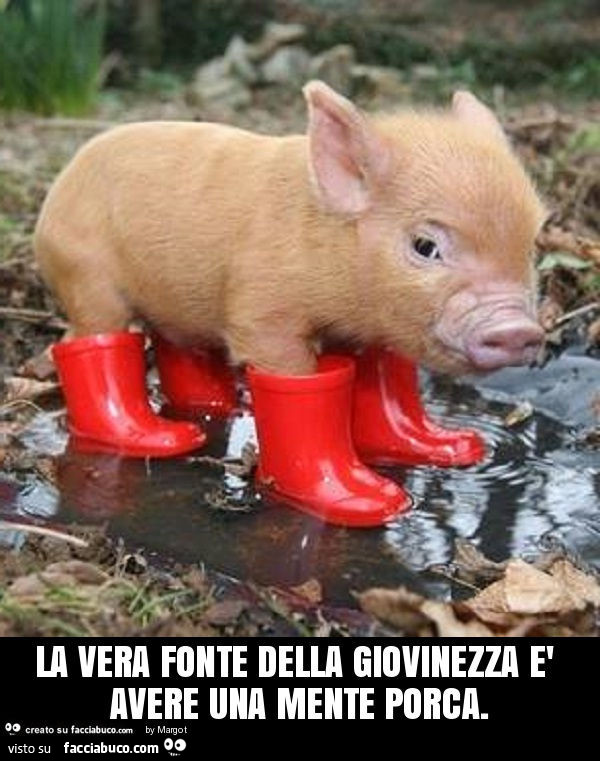 La vera fonte della giovinezza è avere una mente porca