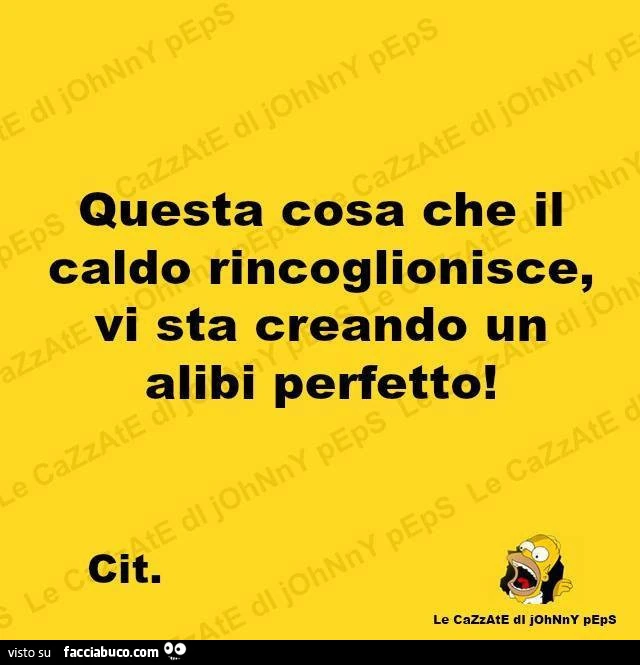 Questa cosa che il caldo rincoglionisce, vi sta creando un alibi perfetto