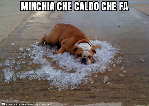 Minchia che caldo che fa