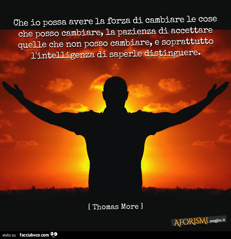 Che io possa avere la forza di cambiare le cose che posso cambiare, la pazienza di accettare quelle che non posso cambiare, e soprattutto l'intelligenza di saperle distinguere. Thomas More