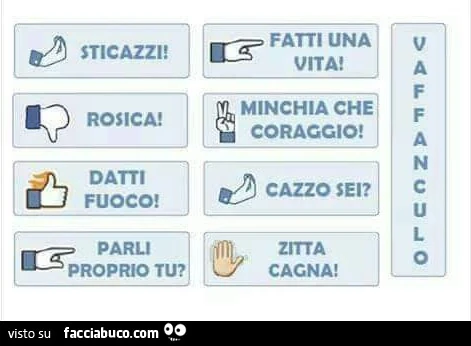 Alternative ai pulsanti facebook. Sticazzi. Rosica. Datti fuoco. Parli proprio tu. Fatti una vita. Minchia che coraggio. Cazzo sei? Zitta cagna! Vaffanculo