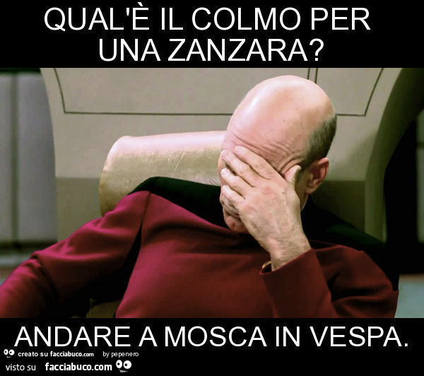 Qual'è il colmo per una zanzara? Andare a mosca in vespa