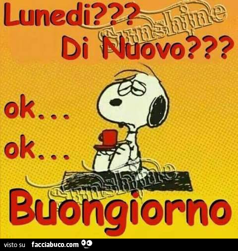 Lunedì di nuovo? Ok. Ok. Buongiorno