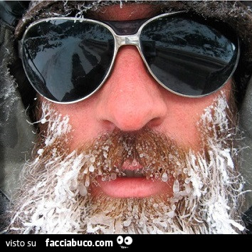 Uomo con baffi e barba congelata