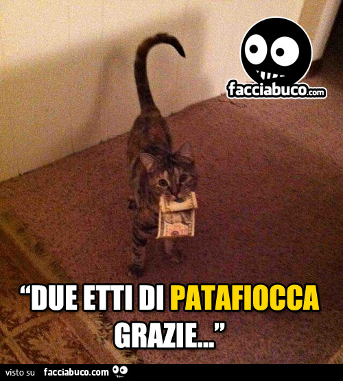 Due etti di patafiocca, grazie