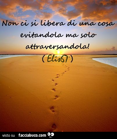 Non ci si libera di una cosa evitandola ma solo attraversandola
