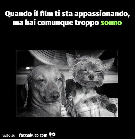 Quando il film ti sta appassionando, ma hai comunque troppo sonno