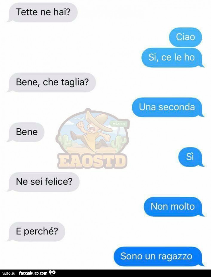 Tette ne hai? Si, ce le ho. Bene, che taglia? Una seconda. Bene ne sei felice? Non molto. E perché? Sono un ragazzo