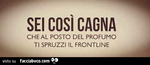 Sei così cagna che al posto del profumo ti spruzzi il frontline