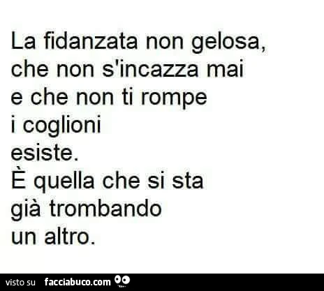 La fidanzata non gelosa, che non s'incazza mai e che non ti rompe i coglioni esiste. È Quella che si sta già trombando un altro