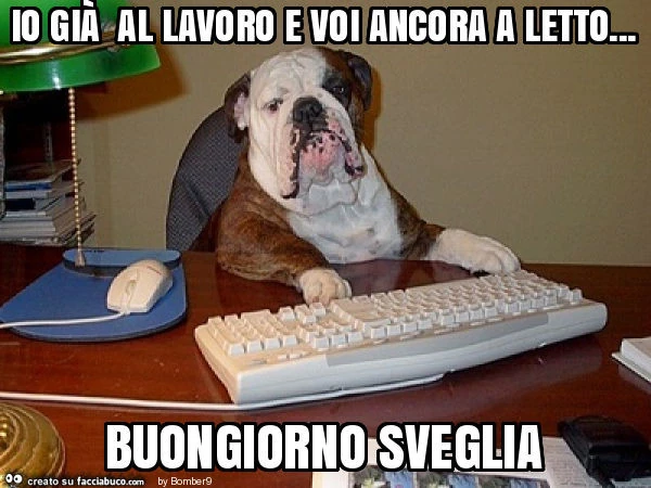 Io già al lavoro e voi ancora a letto&hellip; buongiorno sveglia