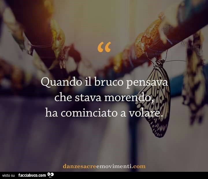 Bevo il secondo giorno tabeks