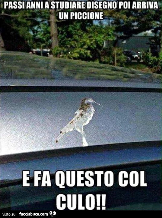 Passi anni a studiare disegno poi arriva un piccione e fa questo col culo